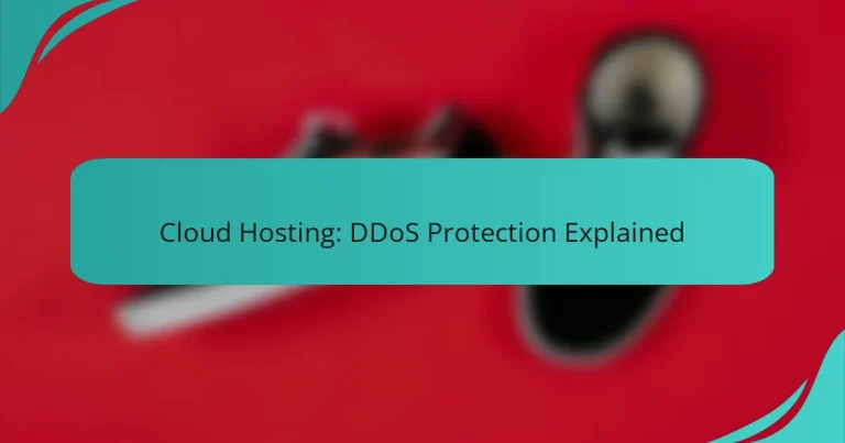 Cloud Hosting: DDoS Protection Explained