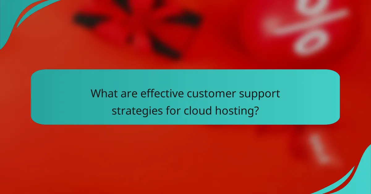 What are effective customer support strategies for cloud hosting?