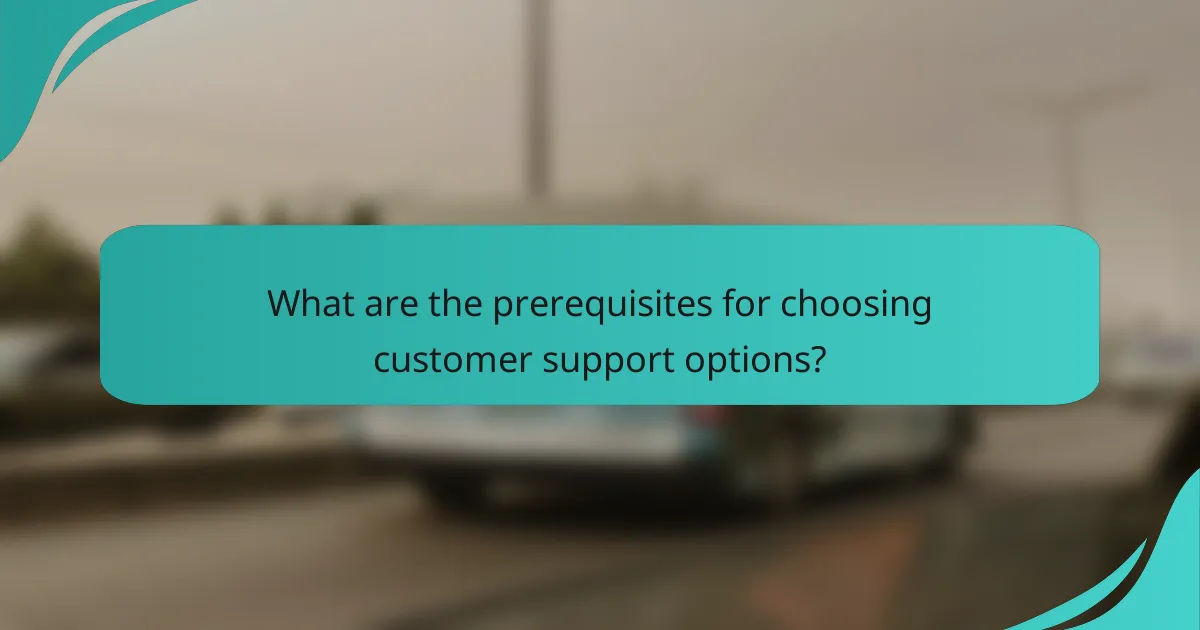 What are the prerequisites for choosing customer support options?