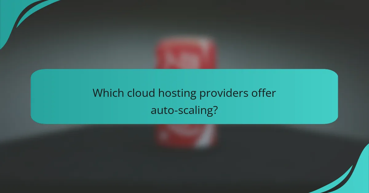 Which cloud hosting providers offer auto-scaling?
